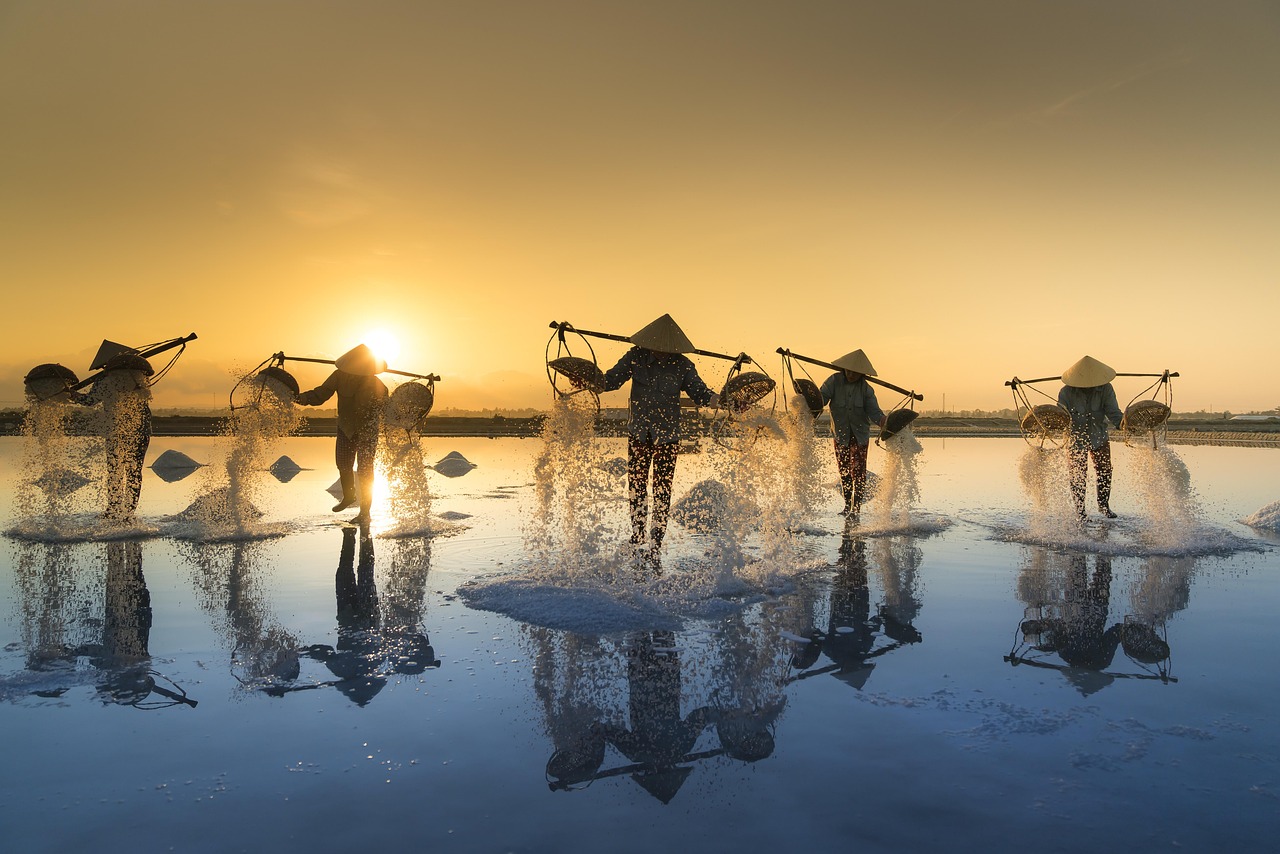 salt harvesting, vietnam, water, salt, work, nature, people, reflection, hon khoi, salt field, salina, tropical, agriculture, asia, harvest, asian, hats, traditional